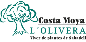Logo Costa Moya L'Olivera