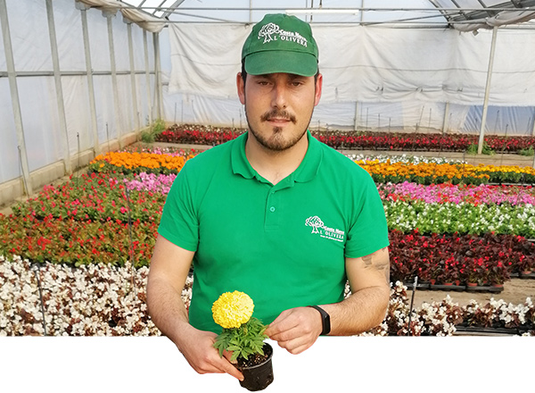 Carlos Costa, el dueño, en su vivero mostrando una de sus plantas