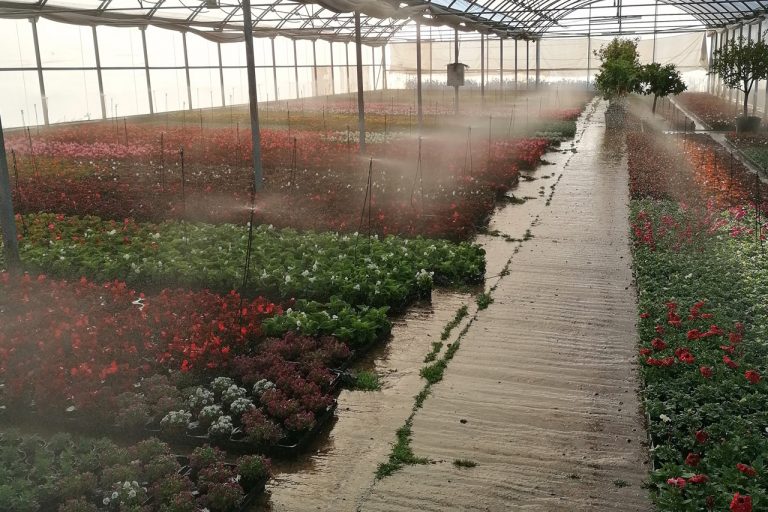 Vivero regando plantas y flores