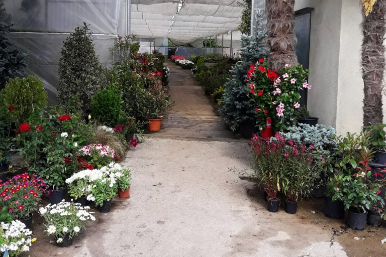 Entrada tienda vivero